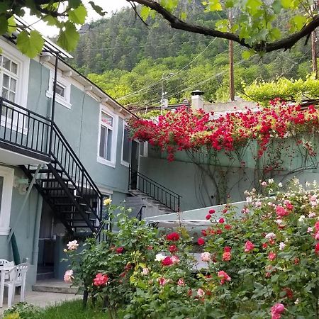 Guest House Green Rose Borjomi Dış mekan fotoğraf