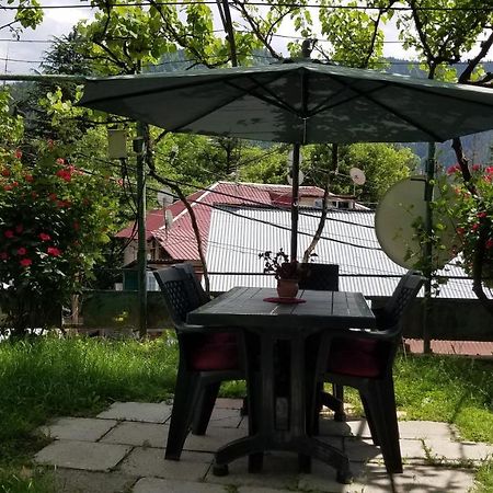 Guest House Green Rose Borjomi Dış mekan fotoğraf
