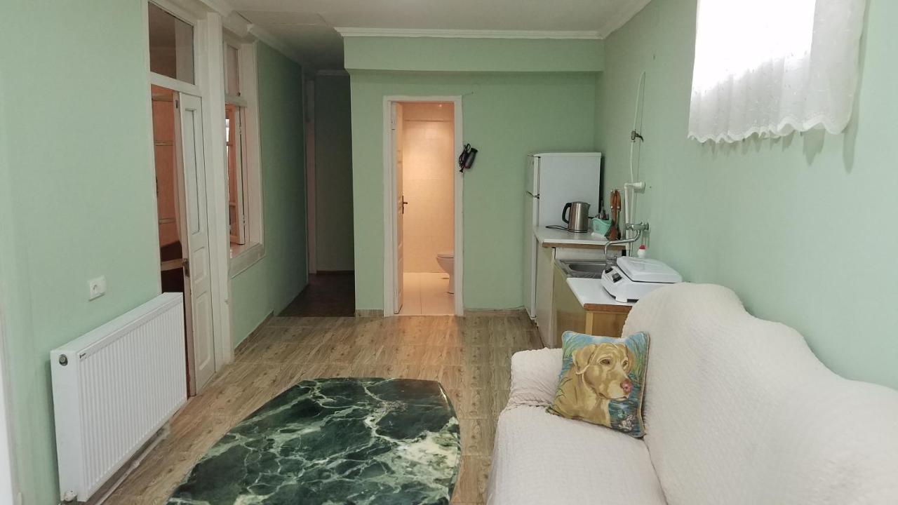 Guest House Green Rose Borjomi Dış mekan fotoğraf