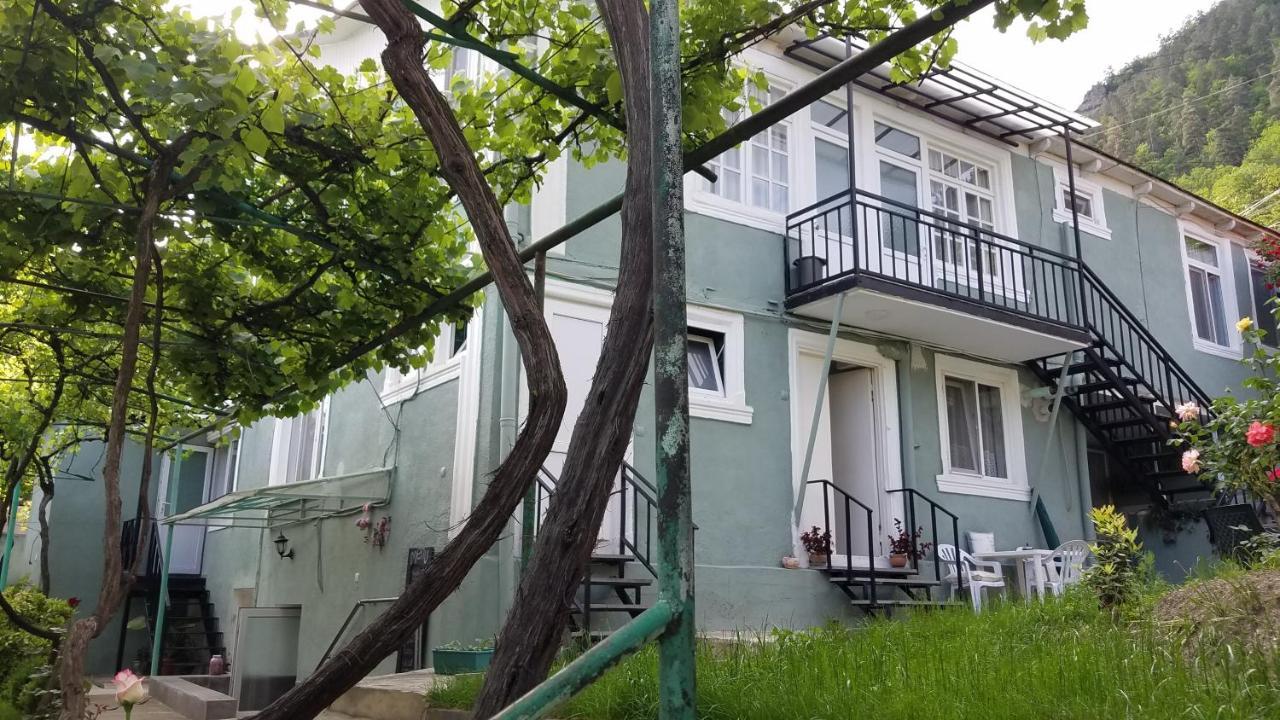Guest House Green Rose Borjomi Dış mekan fotoğraf
