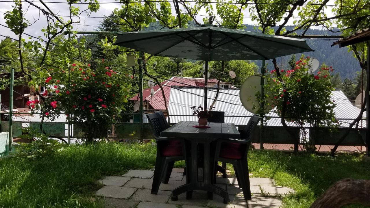 Guest House Green Rose Borjomi Dış mekan fotoğraf