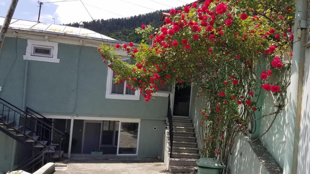 Guest House Green Rose Borjomi Dış mekan fotoğraf
