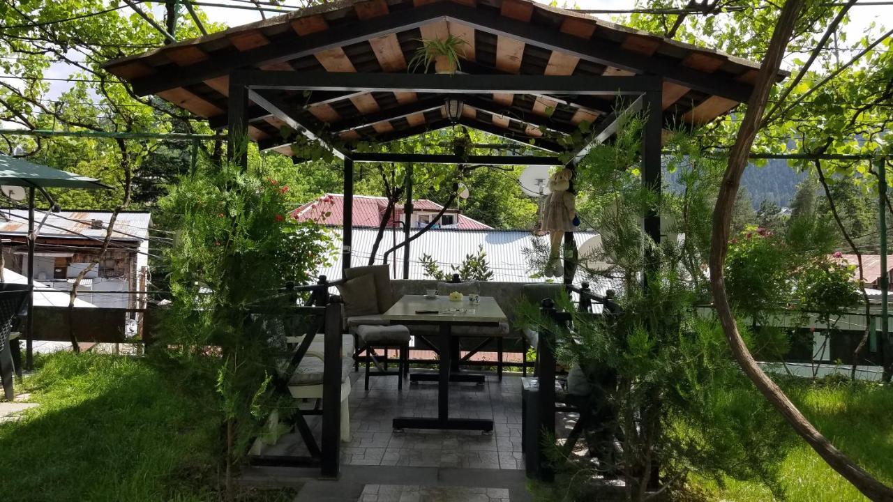 Guest House Green Rose Borjomi Dış mekan fotoğraf