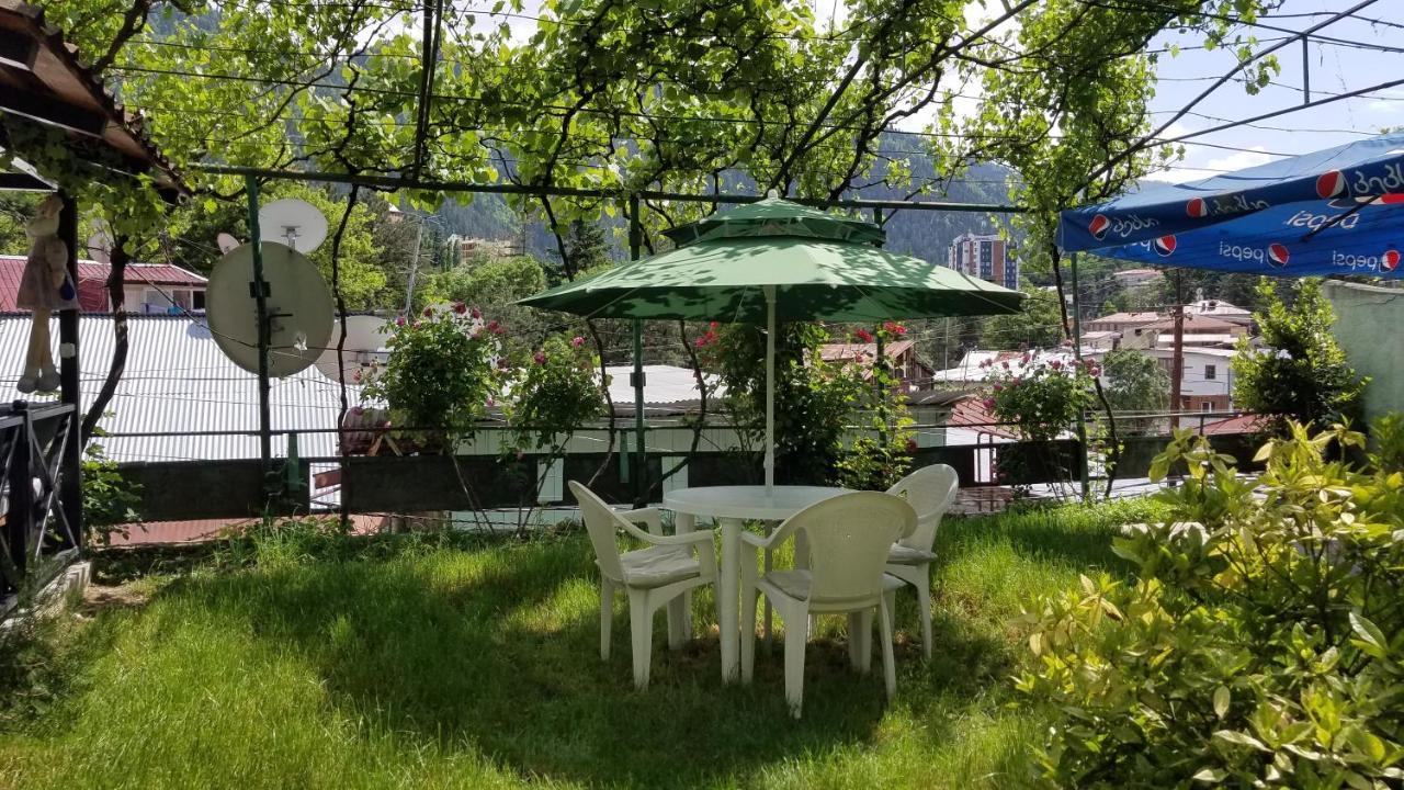 Guest House Green Rose Borjomi Dış mekan fotoğraf